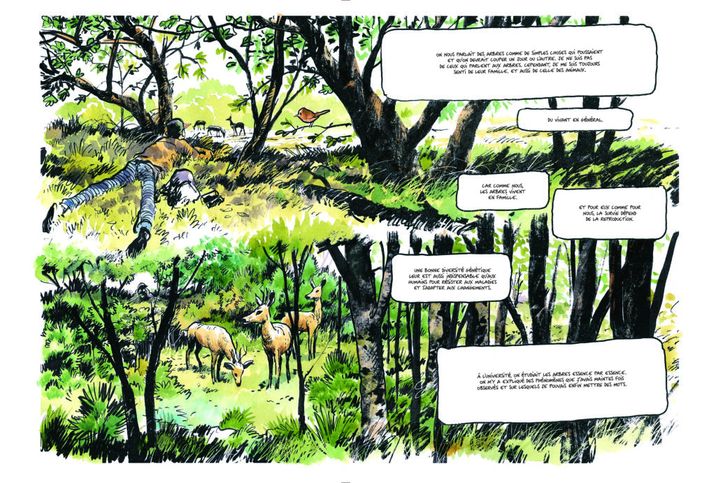 Page 20 de l'album La Vie Secrète des arbres