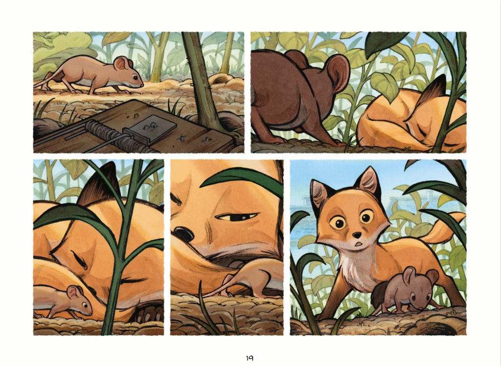 Le monde sauvage : Le renard roux Les éditions de la Gouttière planche 19