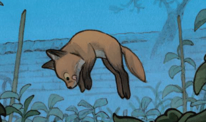 Le monde sauvage : Le renard roux
