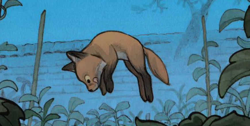 Le monde sauvage : Le renard roux