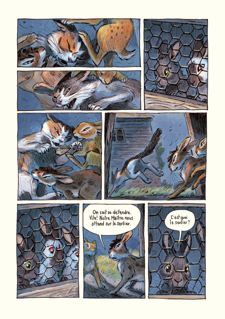 Watership Down Monsieur Toussaint Louverture couverture