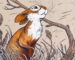 Watership Down