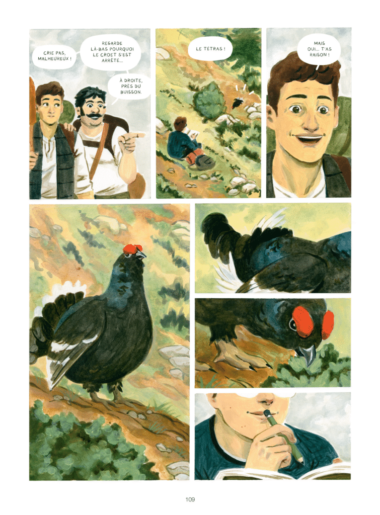 La mise à mort du tétras lyre Glénat planche 109
