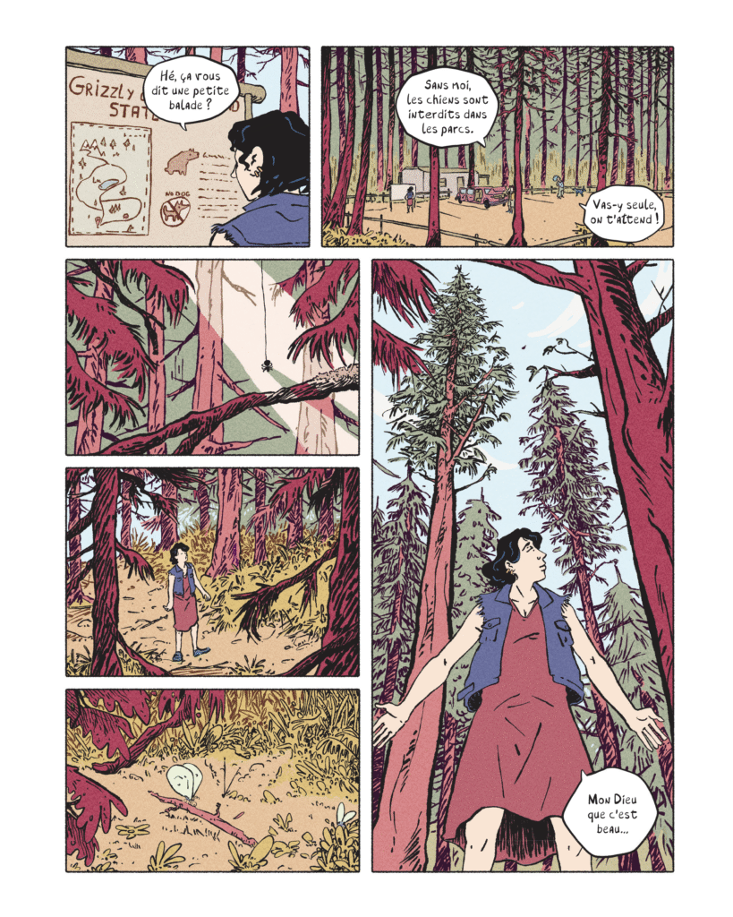 738 jours Seuil jeunesse BD planche