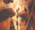 Nephilims tome 3 : Le sang des autres