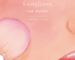 Sangliers Sangliers