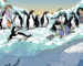 Direction l’Antarctique Direction l’Antarctique
