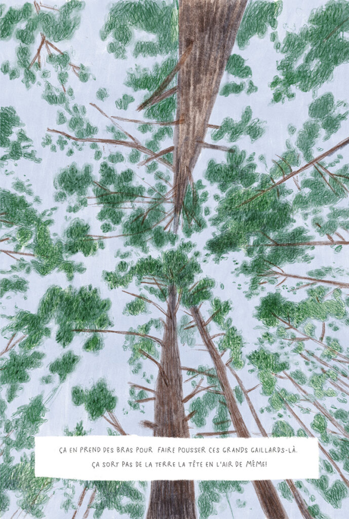 ©Nouvelle Adresse - La clé des bois - Amélie Dubois