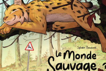 Le Monde Sauvage – Le Lynx Boréal