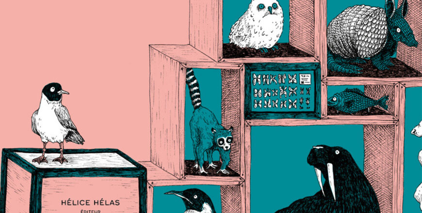 Collections bestiales