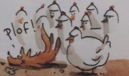 Une poule dans une case, qui picore quelques phrases
