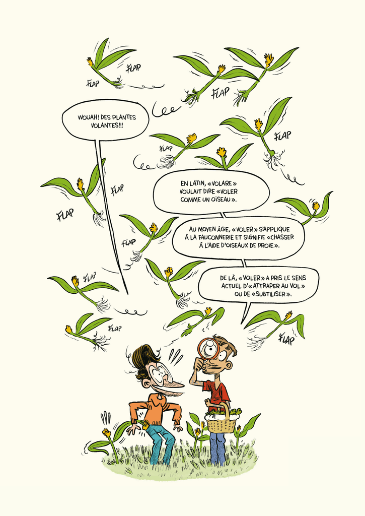 La curieuse histoire des mots Casterman p59