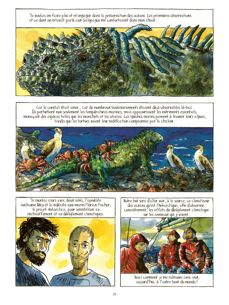 Expédition Antarctica Steinkis p43