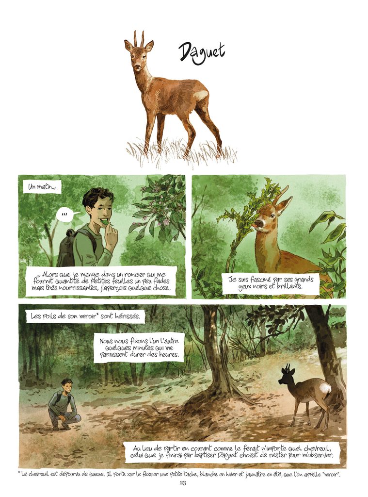 L'homme-chevreuil Les Arènes BD p23