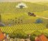 Vendanges toxiques